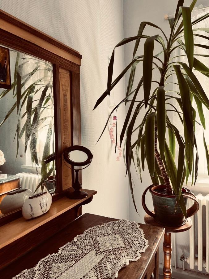 Ferienwohnung Geister Naumburg  Bagian luar foto