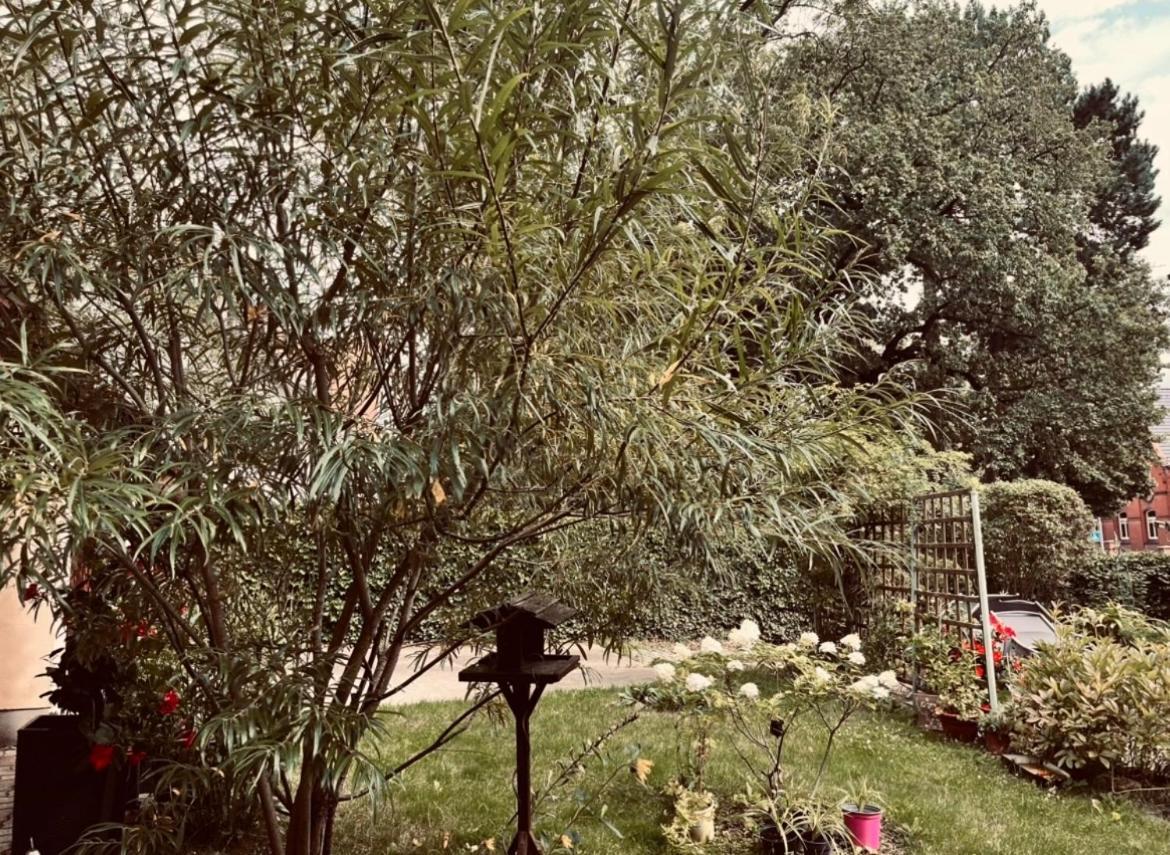 Ferienwohnung Geister Naumburg  Bagian luar foto