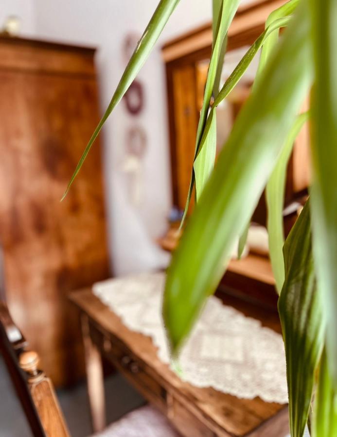 Ferienwohnung Geister Naumburg  Bagian luar foto